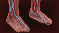 Symptoms of Poor Circulation