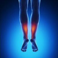 What is the Achilles Tendon?
